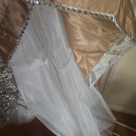 Elegant Champagne Gold Embroidered Formal Dress – Worn ONCE! - Picture 3 of 7